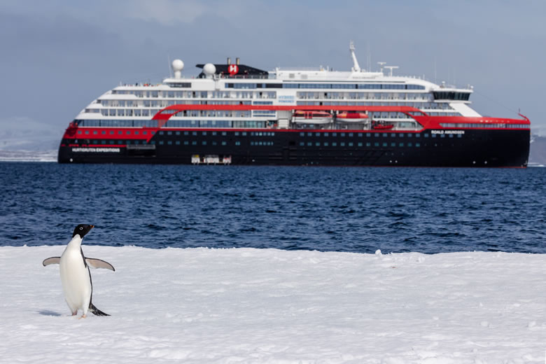 An Adelie penguin in Duse Bay, Antarctica © Oscar Farrera / Hurtigruten Expeditions