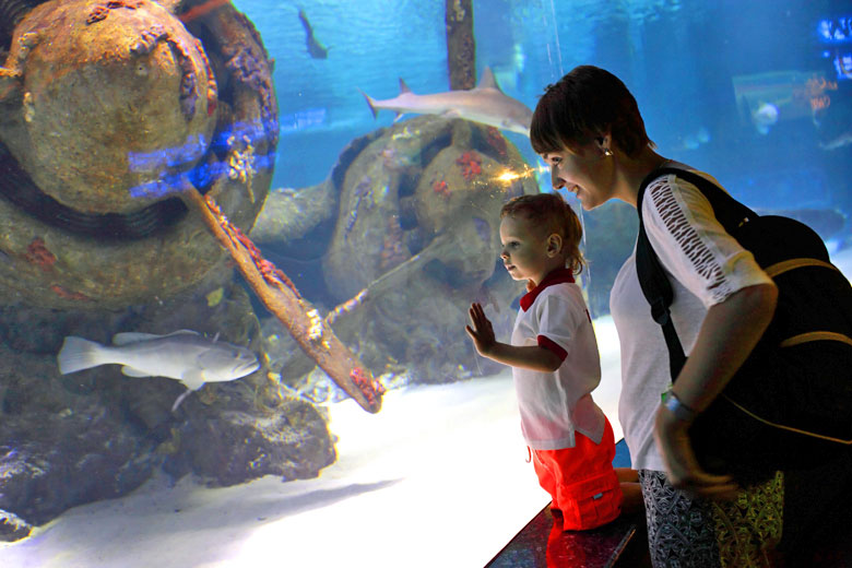 Inside the Antalya Aquarium