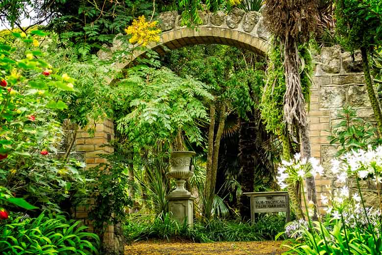 Ventnor Botanic Garden in summer