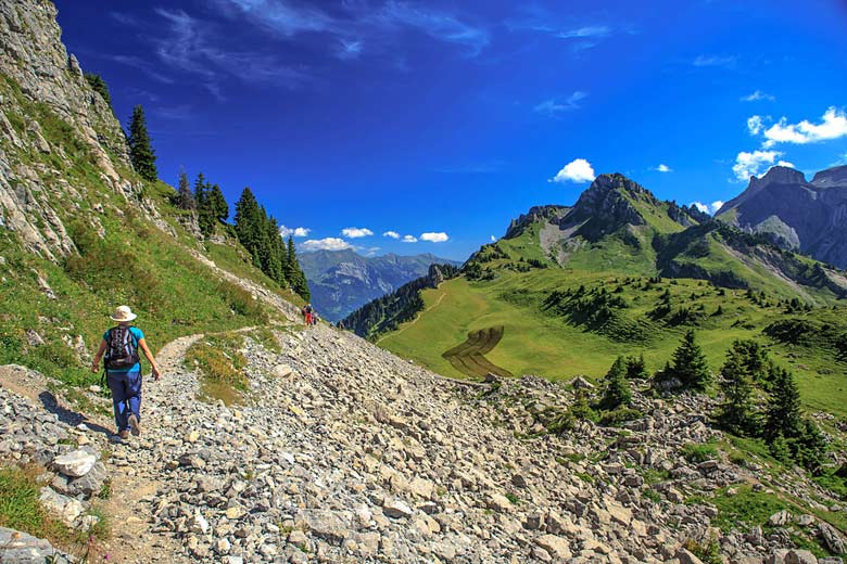 August in the Bernese Oberland just south of Bern, Switzerland