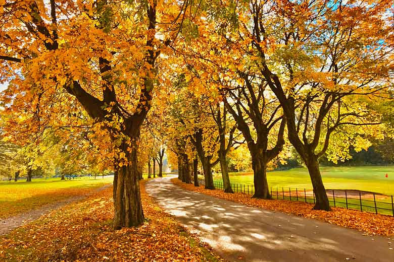 Autumn colours in Burnley, Lancashire, UK