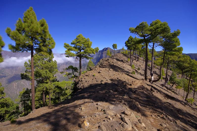 The rim of the Caldera Taburiente, La Palma