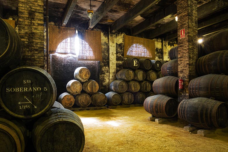 Cellar in Bodega Gonzalez Byass, Jerez de la Frontera