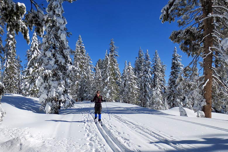 Cross-country skier, Badger Pass Yosemite National Park