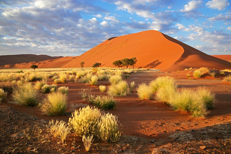 The desert-scape of Sossusvlei, Namibia