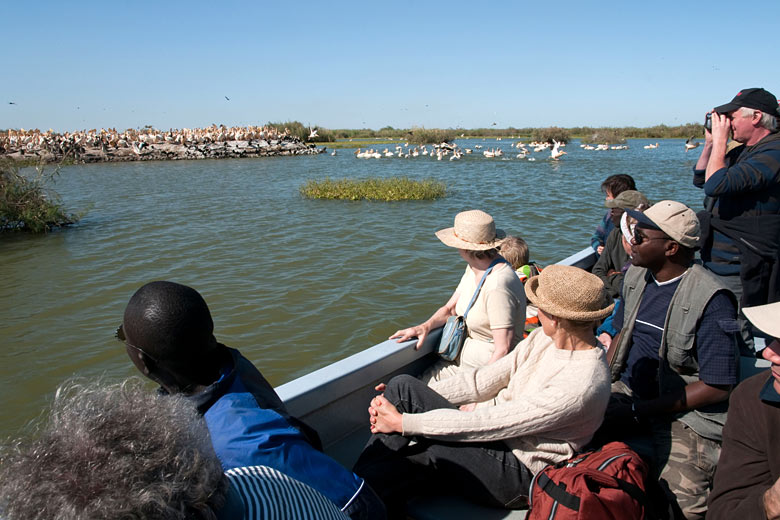 Djoudj National Bird Sanctuary, Senegal