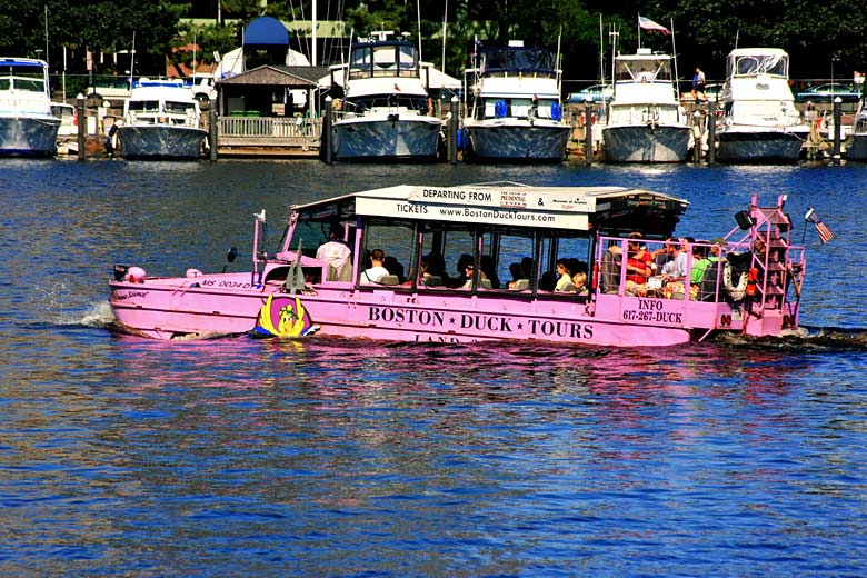 Duck in the Charles River, Boston