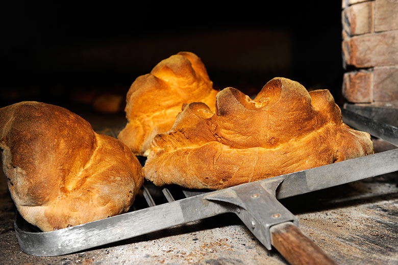 Freshly baked Pane di Matera