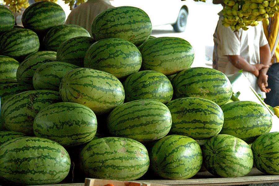 Fujairah Friday Market