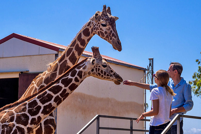 New found friends at Paphos Zoo, Cyprus