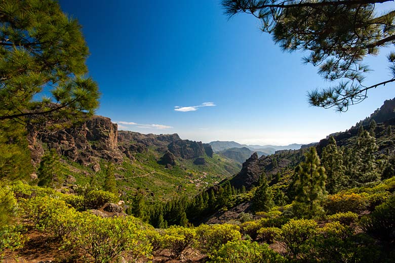 Spring in the mountains, Gran Canaria