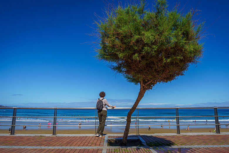 Overlooking Las Canteras Beach, Las Palmas