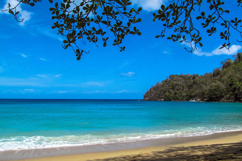 Guide to Tobago: Top sights of this Caribbean island