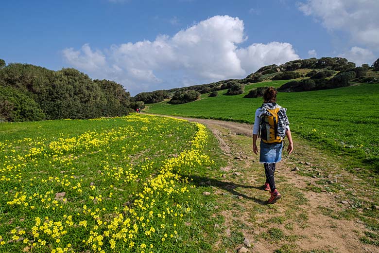 Hiking in S'Albufera Des Grau Nature Park