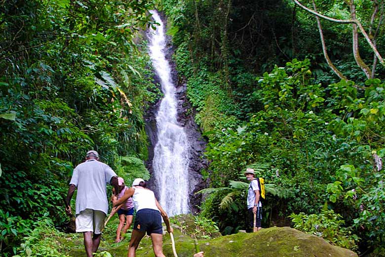 Hiking one of the many forest trails in Grenada