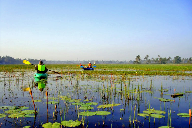 Kayaking on the Sal River Backwaters, Goa, India