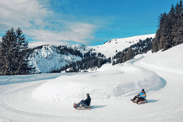 The 7.2 km luge run at Les Diablerets