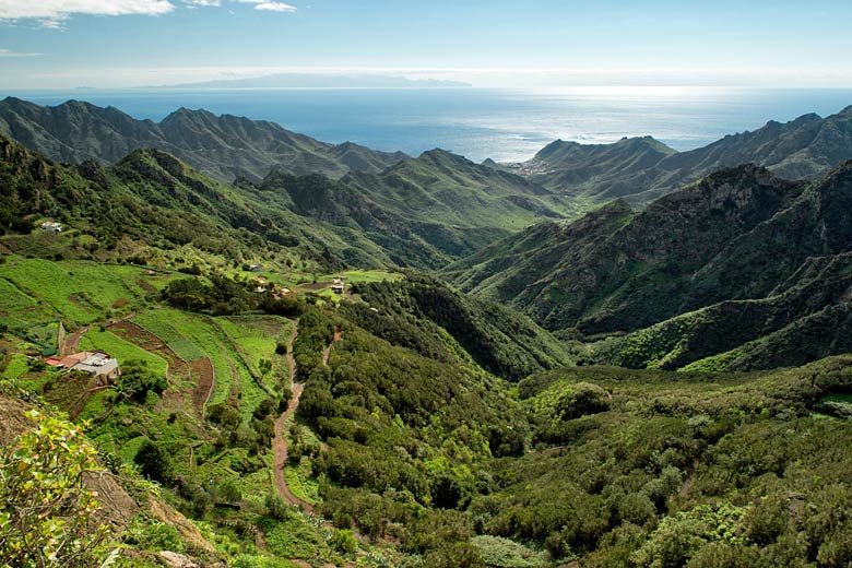 Mountains around Cruz del Carmen, Tenerife