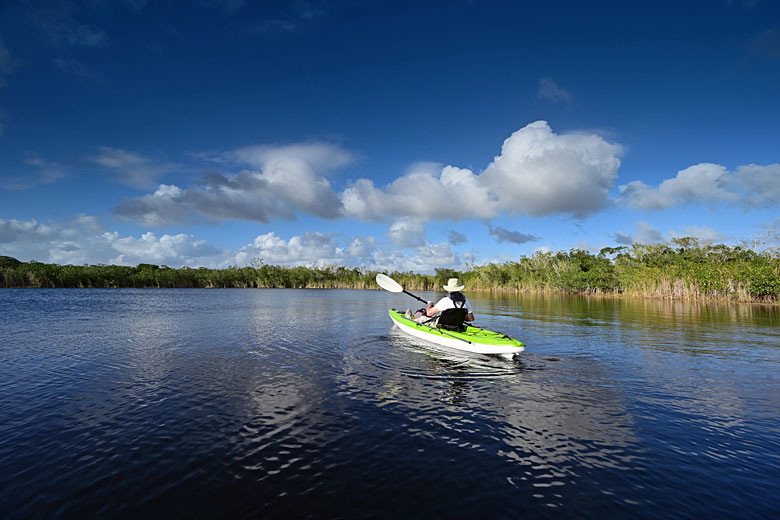 Kayaking in the Everglades