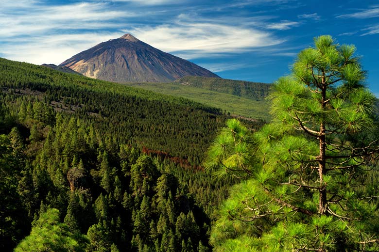 Looking up the Orotava Valley, Tenerife