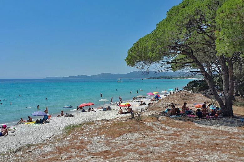 Palombaggia Beach