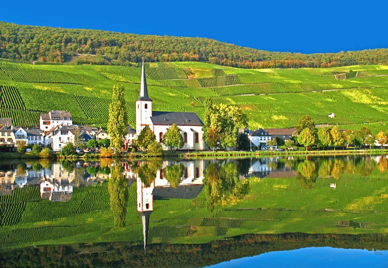 The tiny town of Piesport surrounded by vineyards