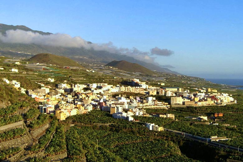 Tazacorte banana plantations