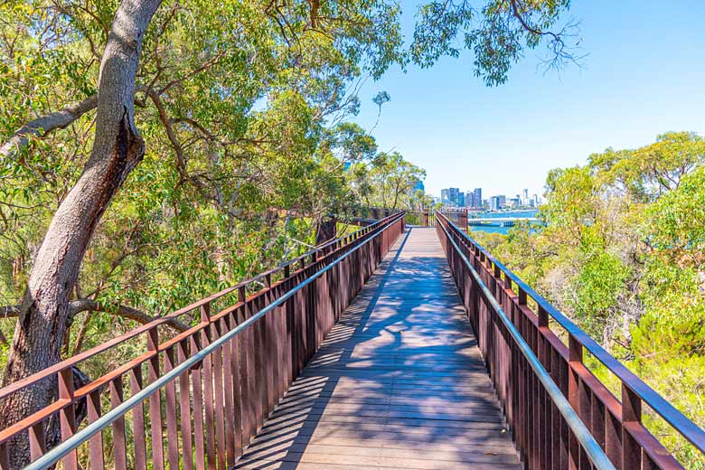 Big city views from the treetop walk, Kings Park