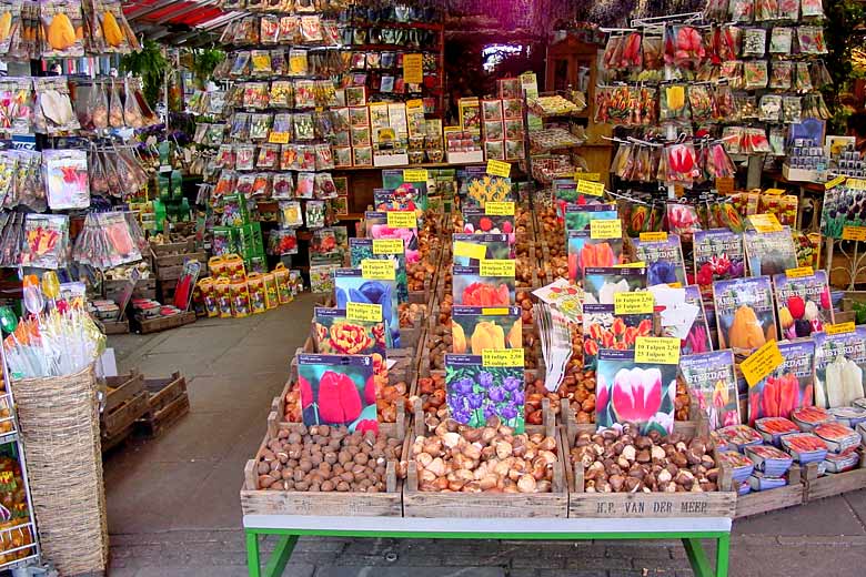 Tulip Bulbs in the Flower Market, Amsterdam