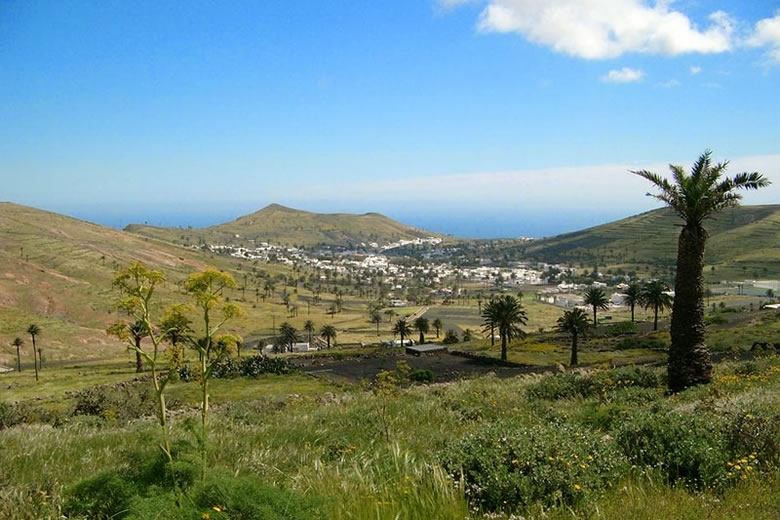 Valley of a Thousand Palms, Lanzarote