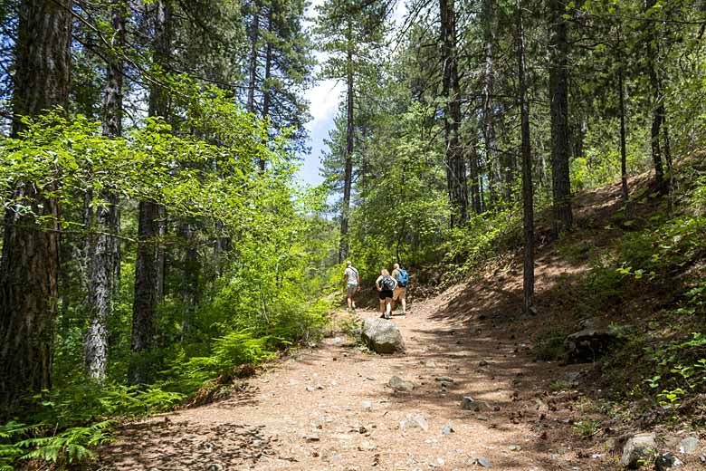 On the Caledonia Nature Trail, Cyprus