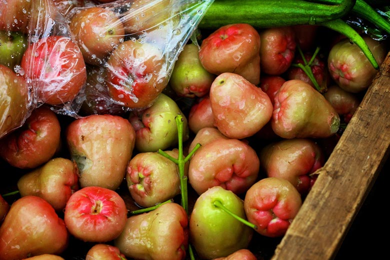 Wax apples in St Lucia