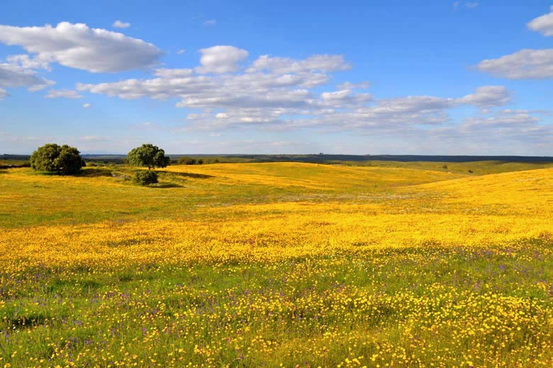 Why you need to visit the Alentejo, Portugal