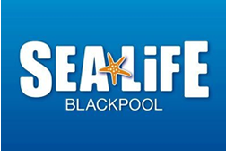 SEA LIFE Blackpool: Pick 'n' Mix pass